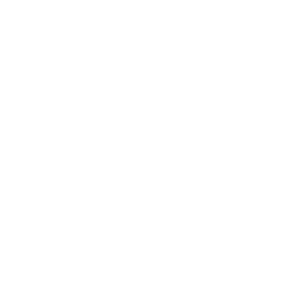 Divi 5